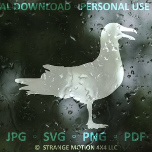 Mouette SVG, Oiseaux, Animal SVG, Ocean Bird SVG, Adventure svg, Laser File, Laser Cut File, svg, Laser svg File, Decal Cut File, Cali