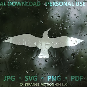 Mouette SVG, Oiseaux, Aventure svg, Fichier laser, Fichier découpé au laser, svg, Fichier laser svg, Animal SVG, Ocean Bird SVG, Fichier de coupe décalcomanie, Cali