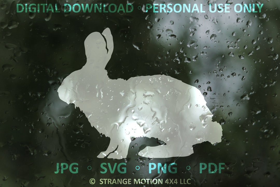 Rabbit SVG File, Bunny Clipart, Animal Design SVG, File for Cricut and ...