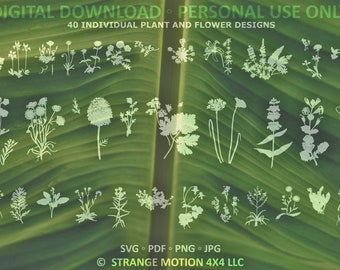 40 Wildflower SVG Files, SVG Files, Wildflower PNG, svg Bundle, Floral Print, Flower Stencils, svg Bundle, Floral svg, Botanical svg, Flower