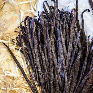 30 Vanilla Beans 5-7 inches in length - Grade A Bourbon Vanilla Beans - Organic Vanilla - FREE Shipping
