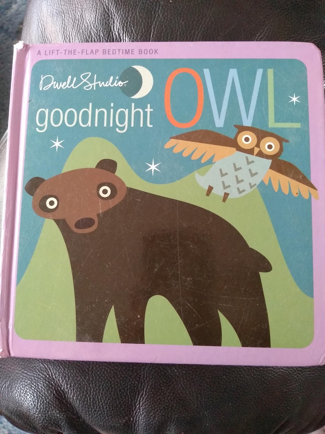 Goodnight Owl Story _ Good Night Owl by Greg Pizzoli – GGNYU