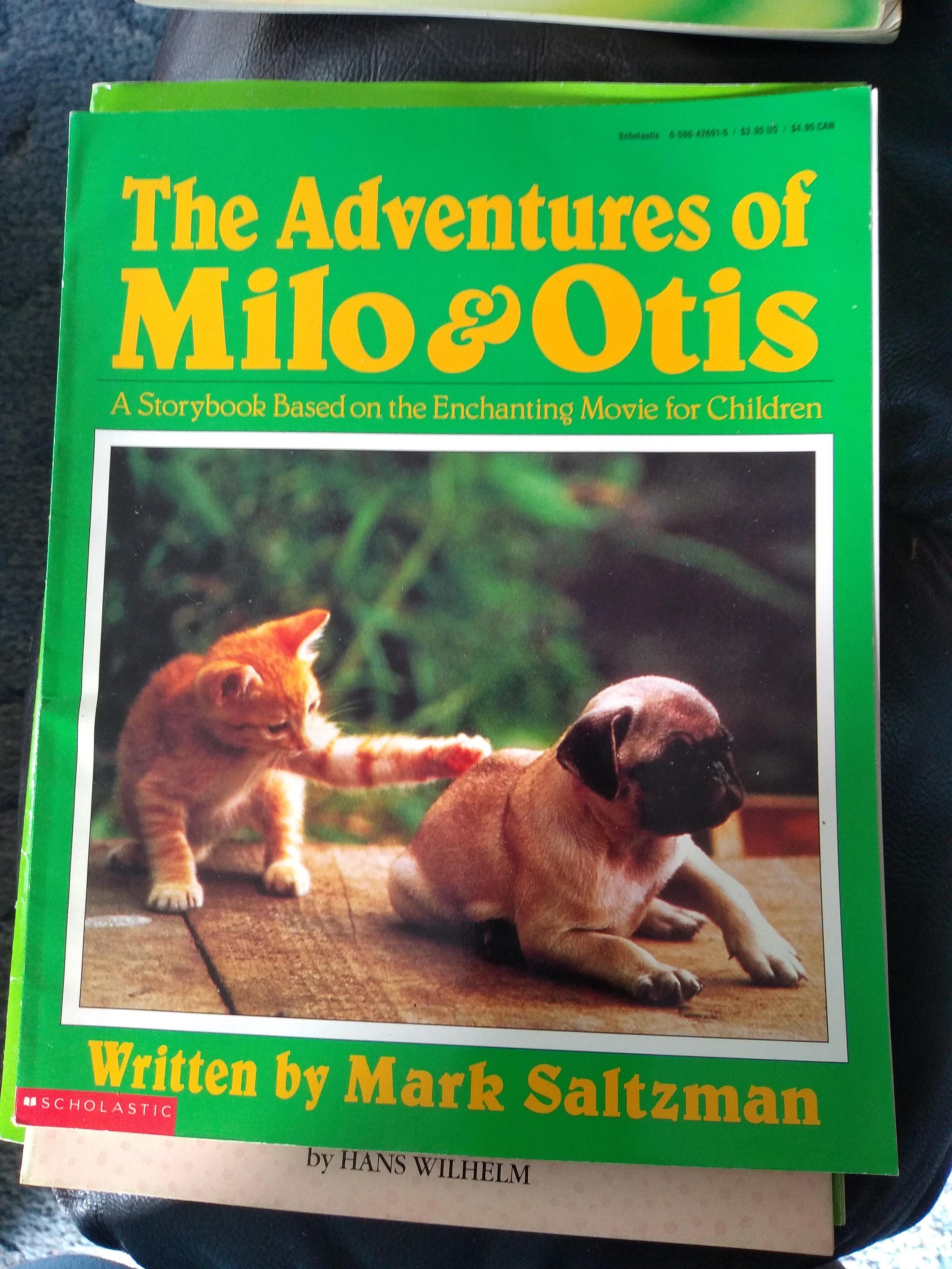 The Heartbreaking Truth About Milo And Otis'S Fate - p9zfo07