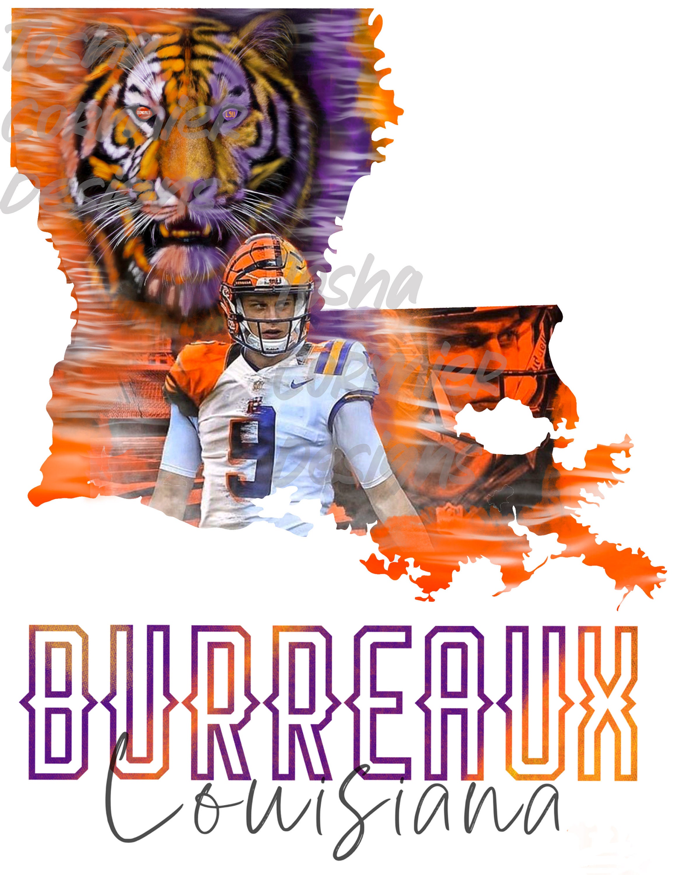Joe Burreaux Bengals