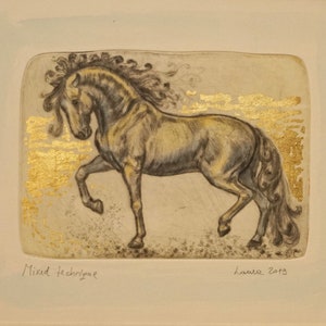 Arte equina, cavallo, tecnica mista: puntasecca, acquerello, doratura con foglie d'oro 23 carati, stampato su carta di cotone 100%, con cornice