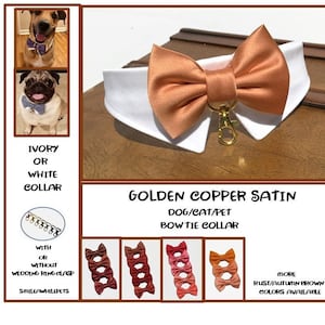 May include: A golden copper satin bow tie collar for dogs, cats, or pets. The collar is ivory or white with a gold clasp. The bow tie is made of satin and has a golden copper color. The image shows a variety of other colors available, including rust, autumn, and brown.
