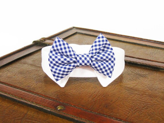 dog tuxedo collar