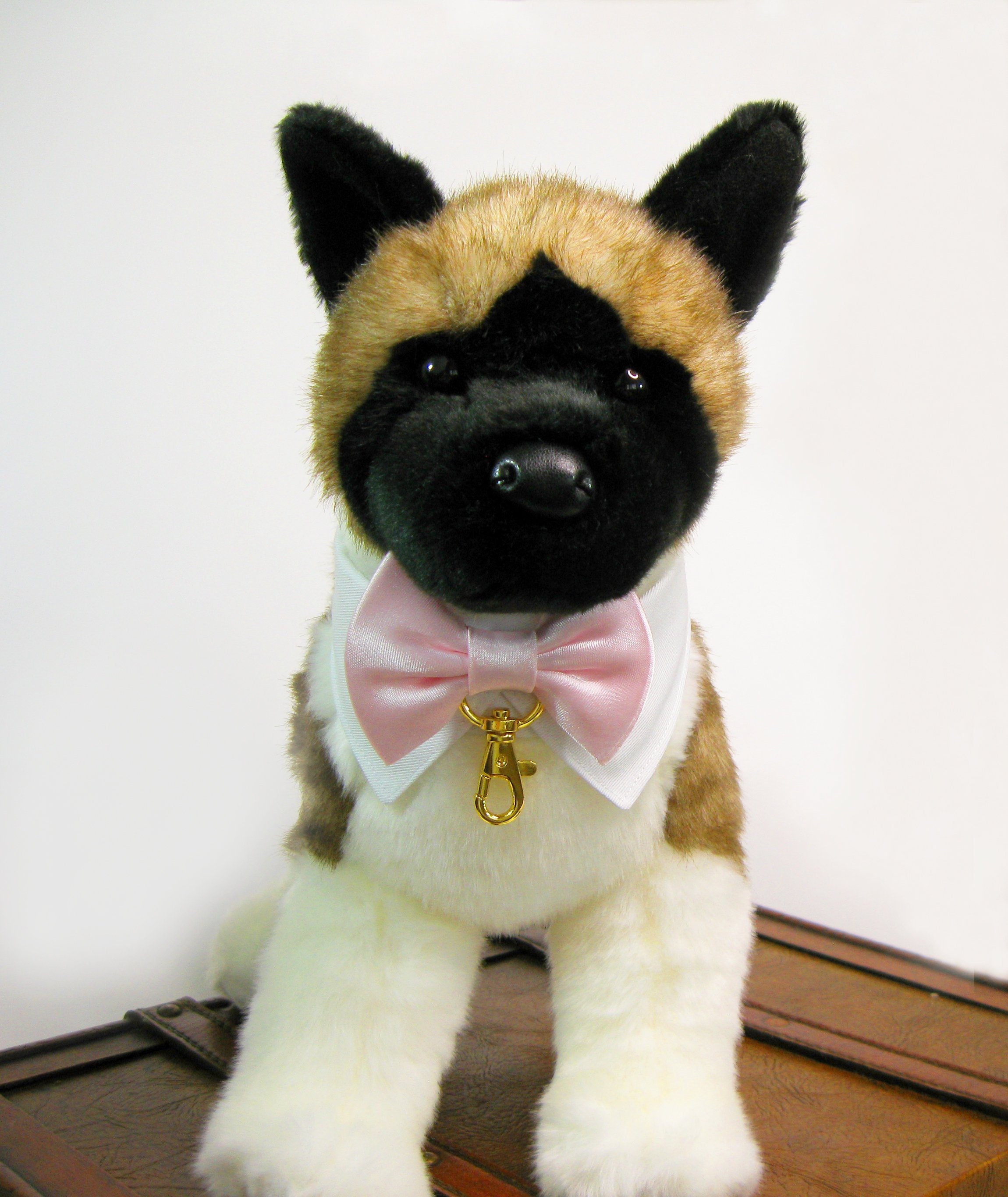 dog tuxedo collar