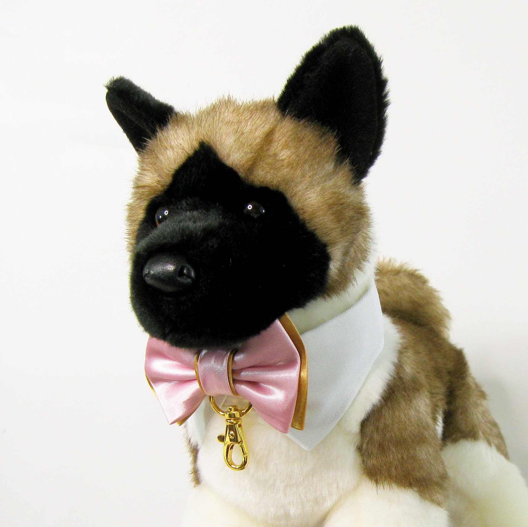 dog collar ring holder