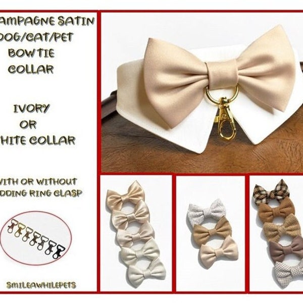 Champagne Dog Bow Tie Collar-Dog Wedding Attire-Wedding Dog Collar-Dog Ring Bearer-Engagement Photo Prop-Tan BowTie-Champagne Wedding Collar