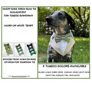Dusty Sage Green Bow Tie Dog Tuxedo-Tan Dog Tuxedo Wedding Bandana-Dog Wedding Attire-Dog Ring Bearer-Sage Green Dog Bow Tie Bandana-Dog Tux