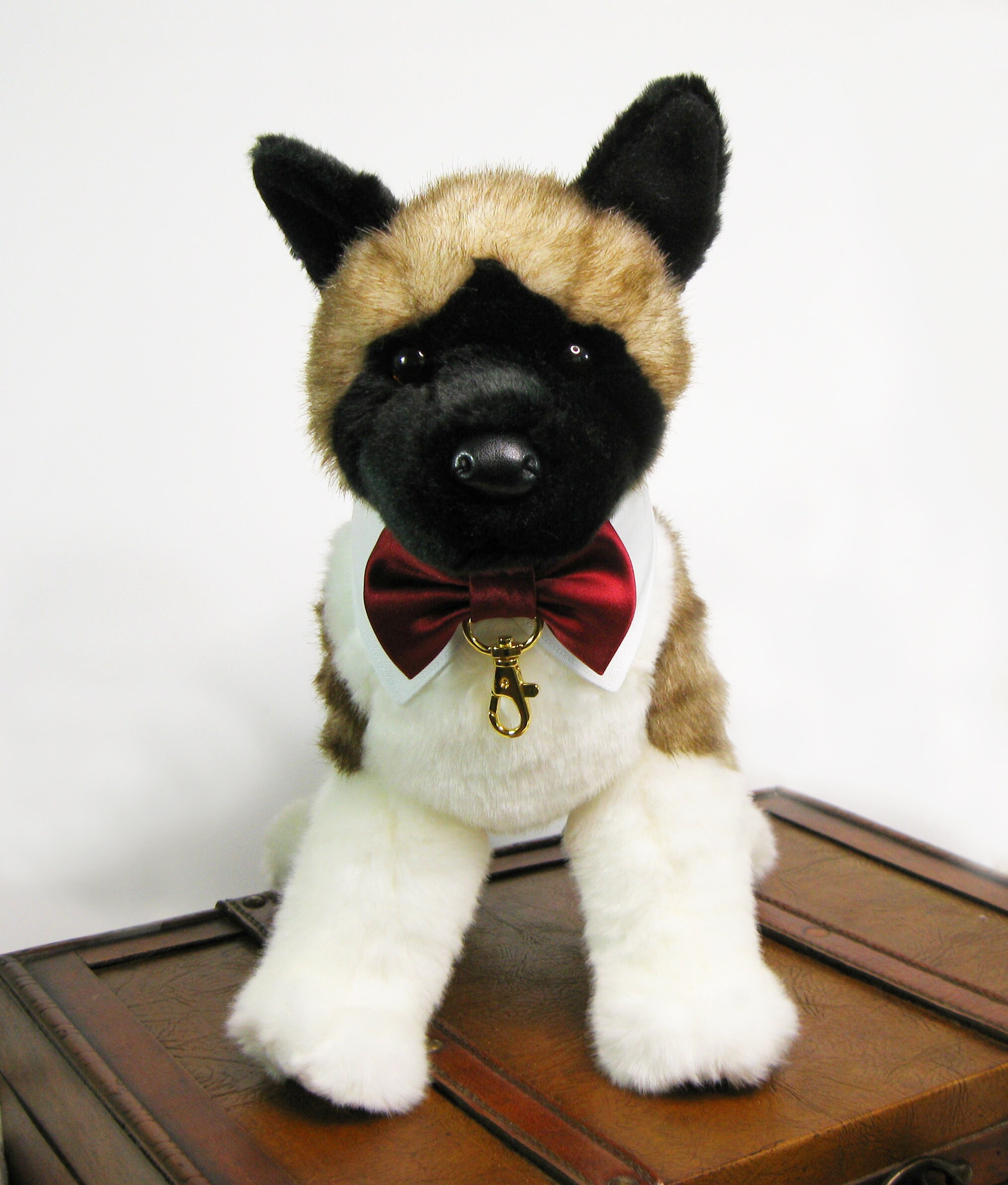 dog tuxedo collar