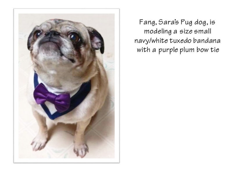 Dog Wedding Bandana-Red Gingham Bow Tie Dog Bandana-Dog Tuxedo Bandana-Wedding Dog Attire-Red Dog Bow Tie-Dog Ring Bearer-Dog Ring Holder-