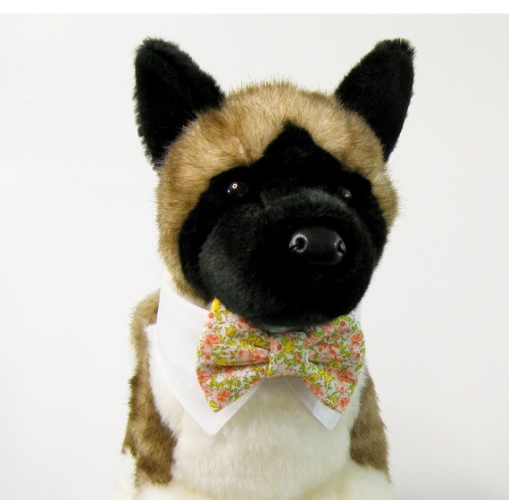 dog tuxedo collar