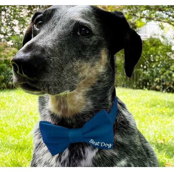 Personalized Wedding Dog Bow Tie-Dog Wedding Attire-Best Boy Dog Bow Tie-Best Dog Bow Tie-Ring Security Dog Bow Tie-Dog Ring Bearer Bow Tie