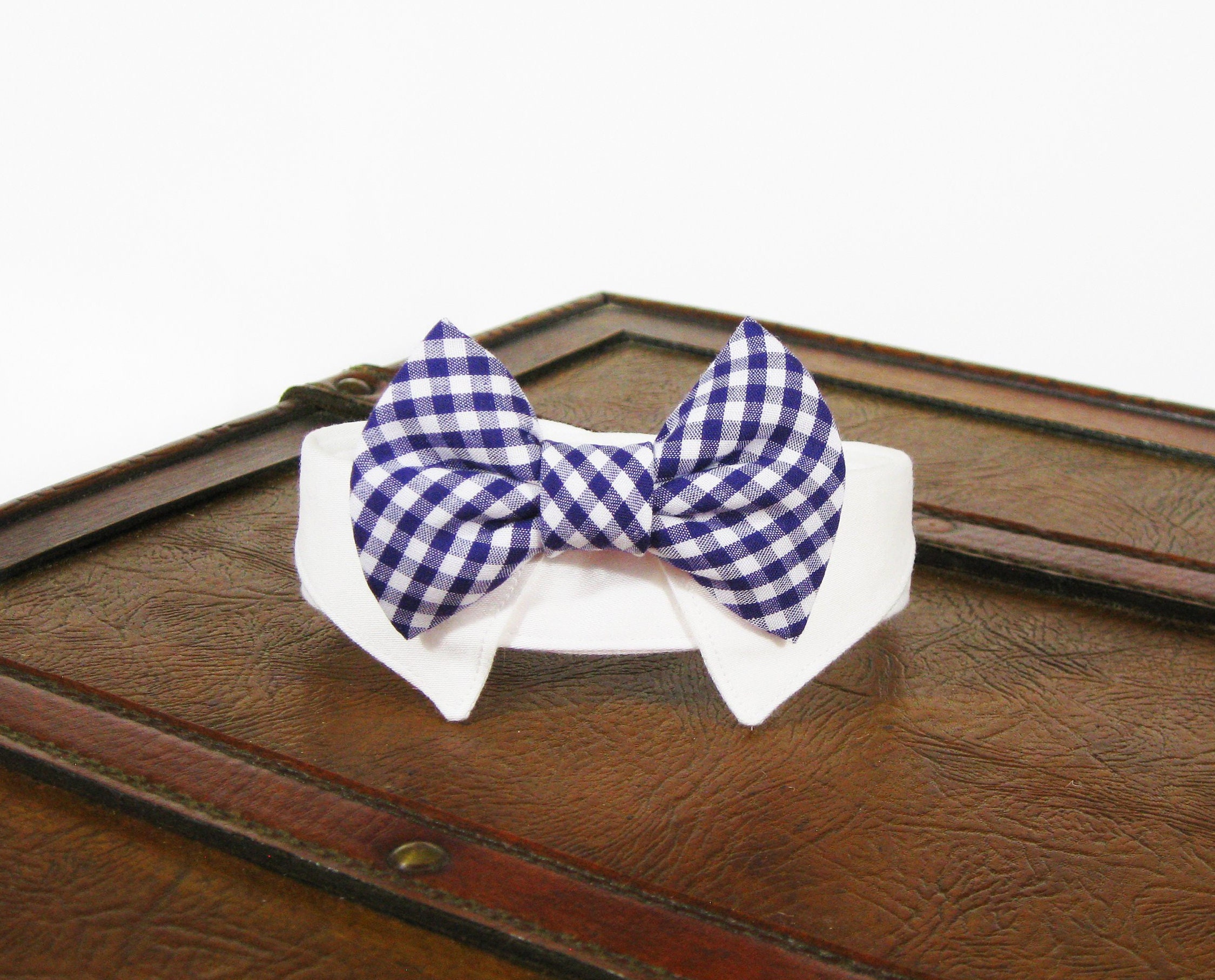 purple dog bow tie
