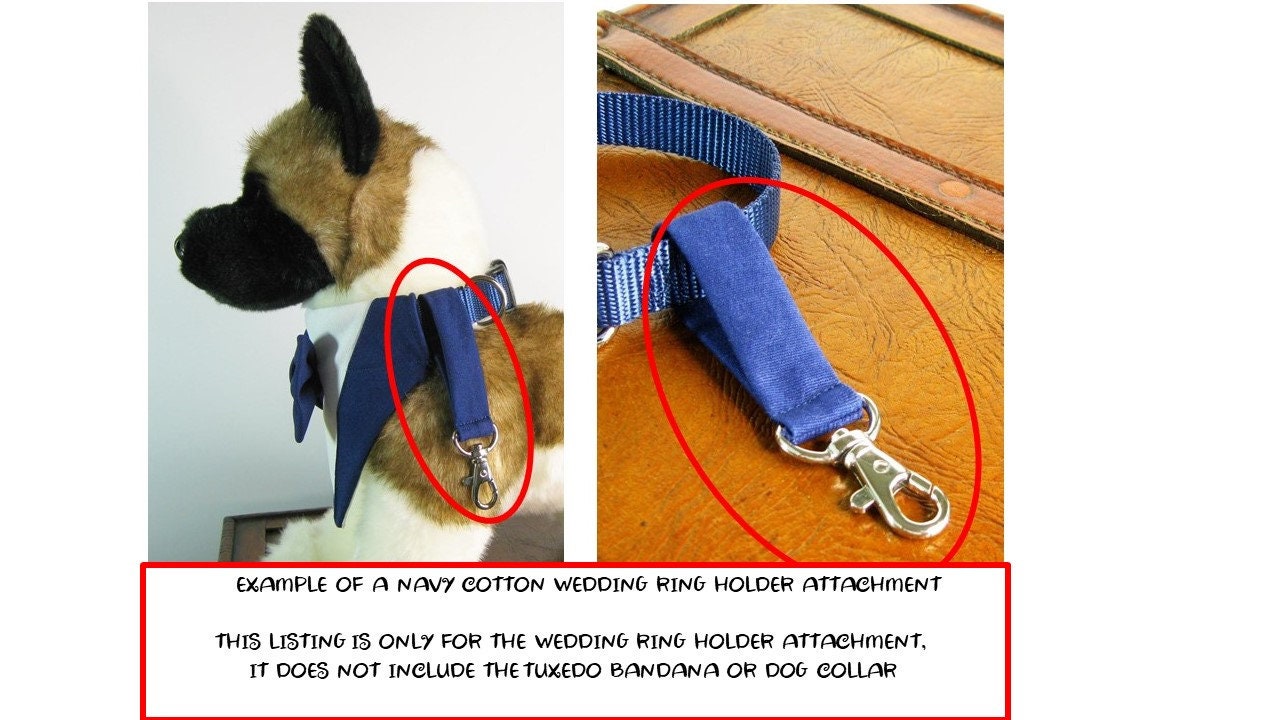 animax ointment dogs ears