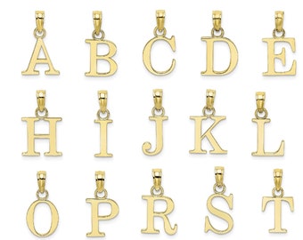 14k Solid Satin Sparkle-Cut Initial Charm in White Gold Yellow Gold Choice of Initials and E F G H I J K L M N O P R S T V W