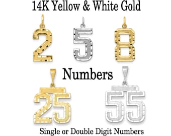 14k Yellow Gold Number 2 Pendant Two Digit Charm Satin