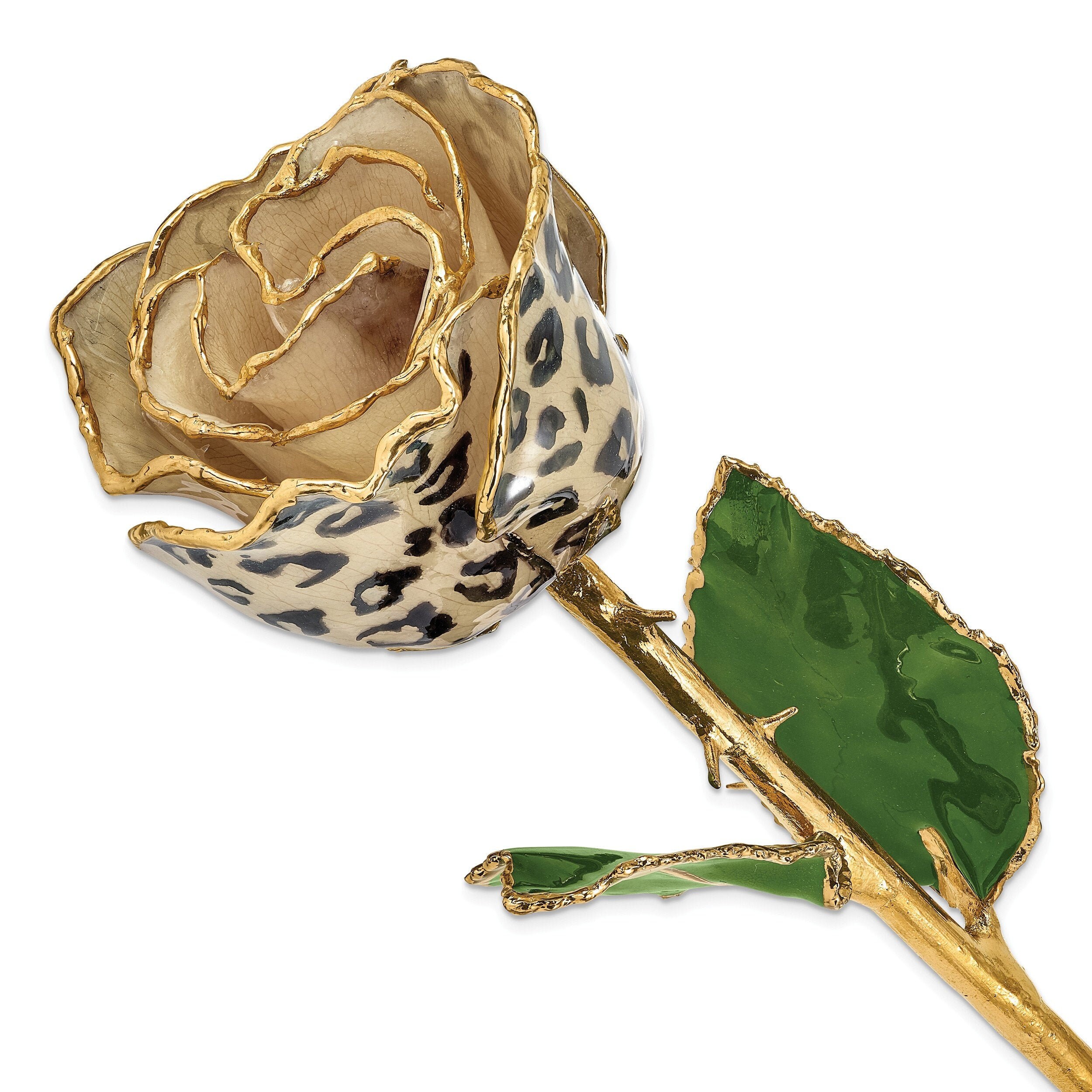 Cream And Black Leopard Spots Rose Lacquer Dipped 24k Gold Etsy