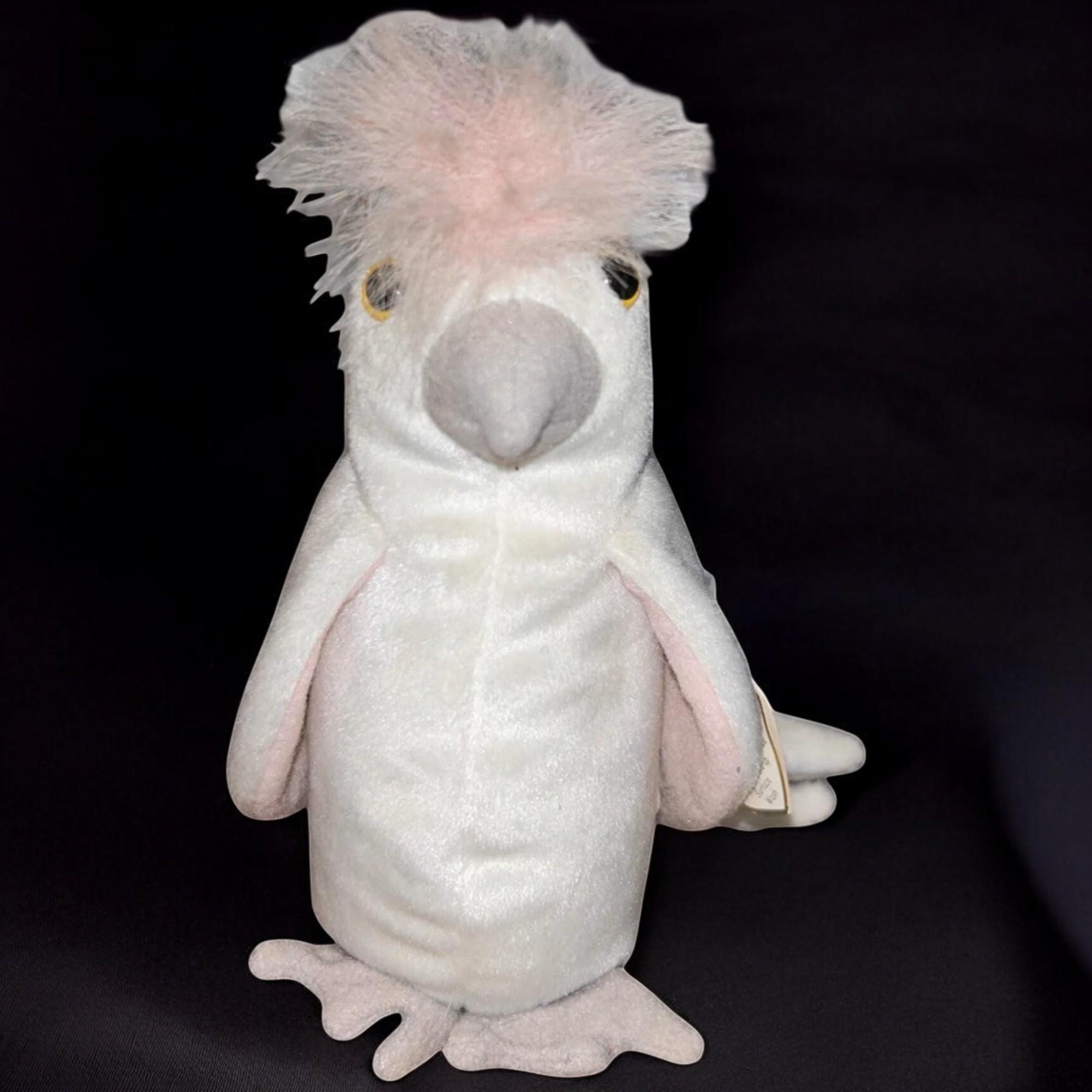 TY ビーニーベイビー オウムのクク タグ付き 引退したぬいぐるみ