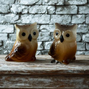 Owl Salt Pepper Shaker Set Collectable Home Decor Servingware Decorative Practical Animal kitchenware Nature Tableware