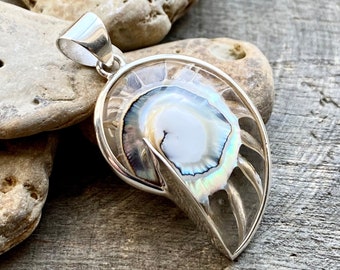 Nautilus Shell Shaped Clear Resin Mother of Pearl 925 Silver Pendant - Crystal Healing Pendant