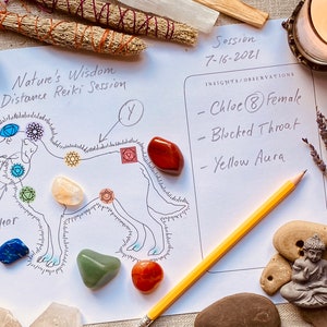 Modelo para impressão de placa de cura de Chakra Reiki à distância animal para cães - Meditação de cura de cristal ARQUIVO DIGITAL