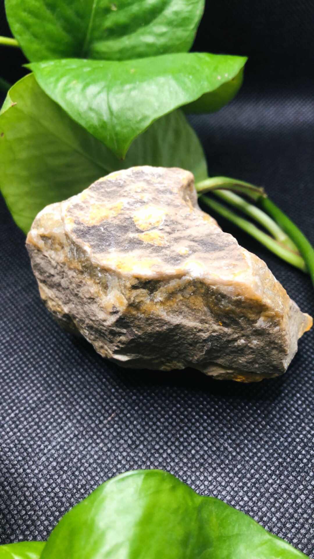 Raw Bumblebee Jasper Jasper Bumblebee XL Raw Jasper Bumblebee Jasper