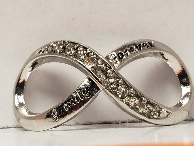 Silver Family Forever Clear Crystal Infinity European Charm