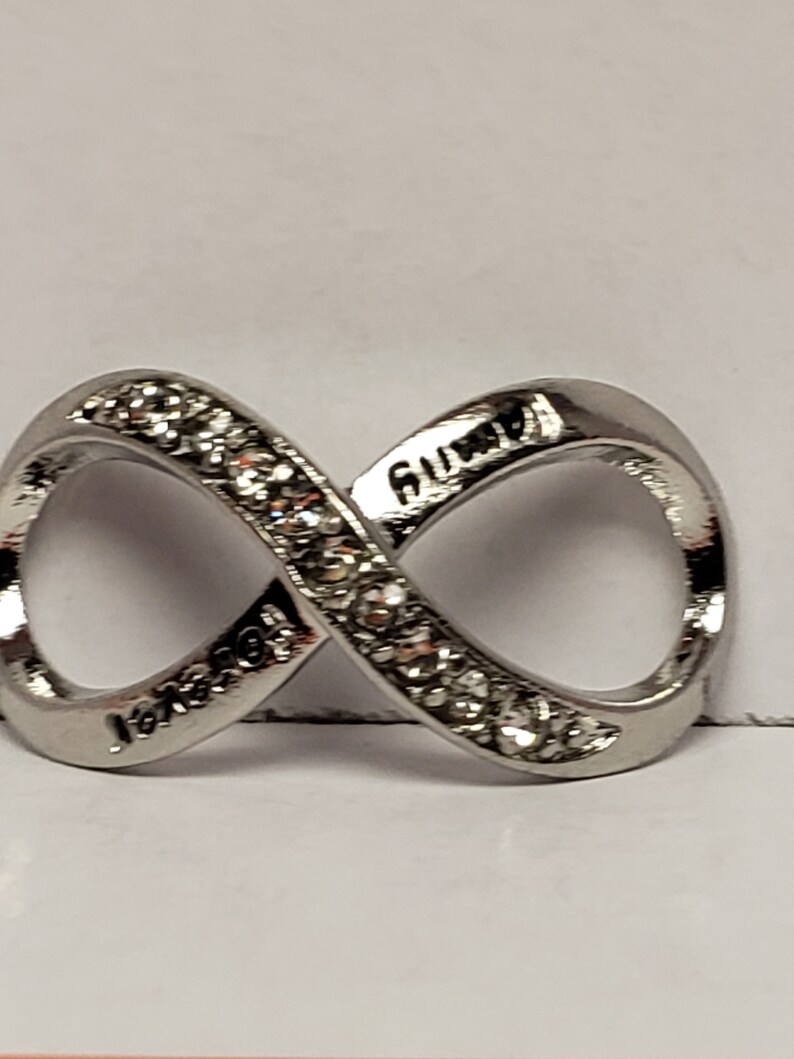 Silver Family Forever Clear Crystal Infinity European Charm