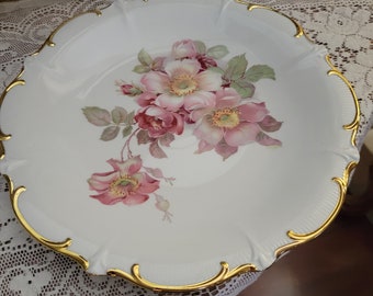 Antique decorative plate