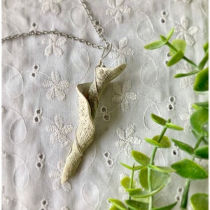 May include: A silver chain necklace with a white seashell pendant. The seashell is twisted and has a rough texture.