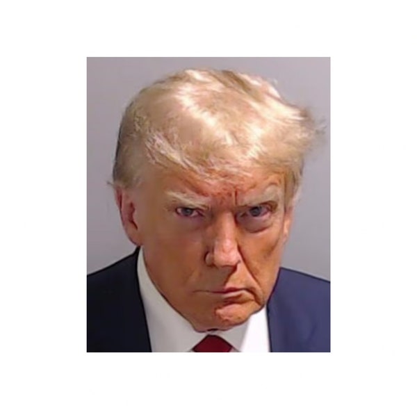 Trump Mugshot Png - Etsy