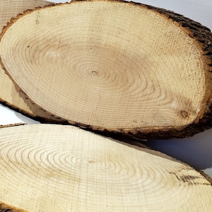 oval slice / oval tray / rustic decoration / wood for crafts / natural wood / dried wood