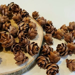 145 tiny cocottes / small pine cone / craft decorations / DIY / DIY / tiny pine cone