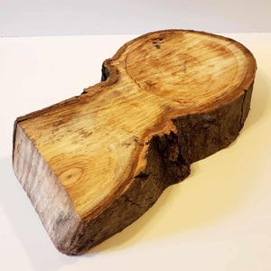 Peut inclure: Une tranche de bois naturel présentant une section supérieure circulaire et une base rectangulaire. La surface affiche des motifs de grain de bois brun clair avec des cernes de croissance visibles, tandis que les bords conservent l'écorce sombre.