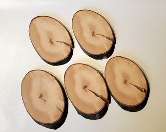 LIQUIDACIÓN / 5 rodajas de madera ovaladas / Madera de haya / suministro artesanal / Troncos partidos con canto vivo
