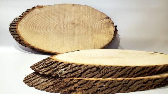 oval slice oval tray rustic decoration wood for crafts natural wood  dried wood