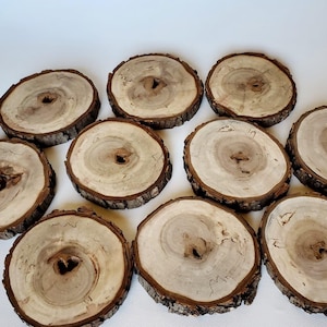 Peut inclure: Dix tranches de bois naturelles, chacune avec un centre clair et un bord d'écorce foncé et texturé. Les tranches mesurent environ 6,35 à 7,62 cm de diamètre. Le texte "2 1/2-3" est dans le coin supérieur gauche.