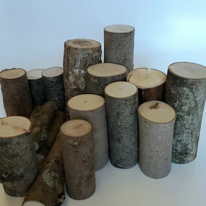 May include: A collection of natural wood slices, varying in size and shape, with a rough, rustic texture. The wood is a light brown colour with a natural grain pattern. The slices are arranged in a pile on a white surface.