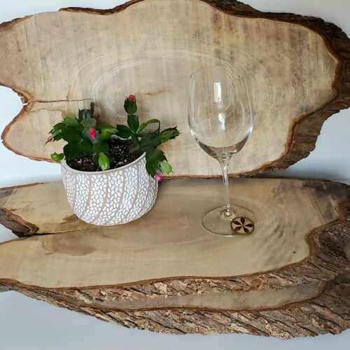 Shops large oval wood slab / live edge wood / maple / rare product / raw / 27 x 12.5 inches