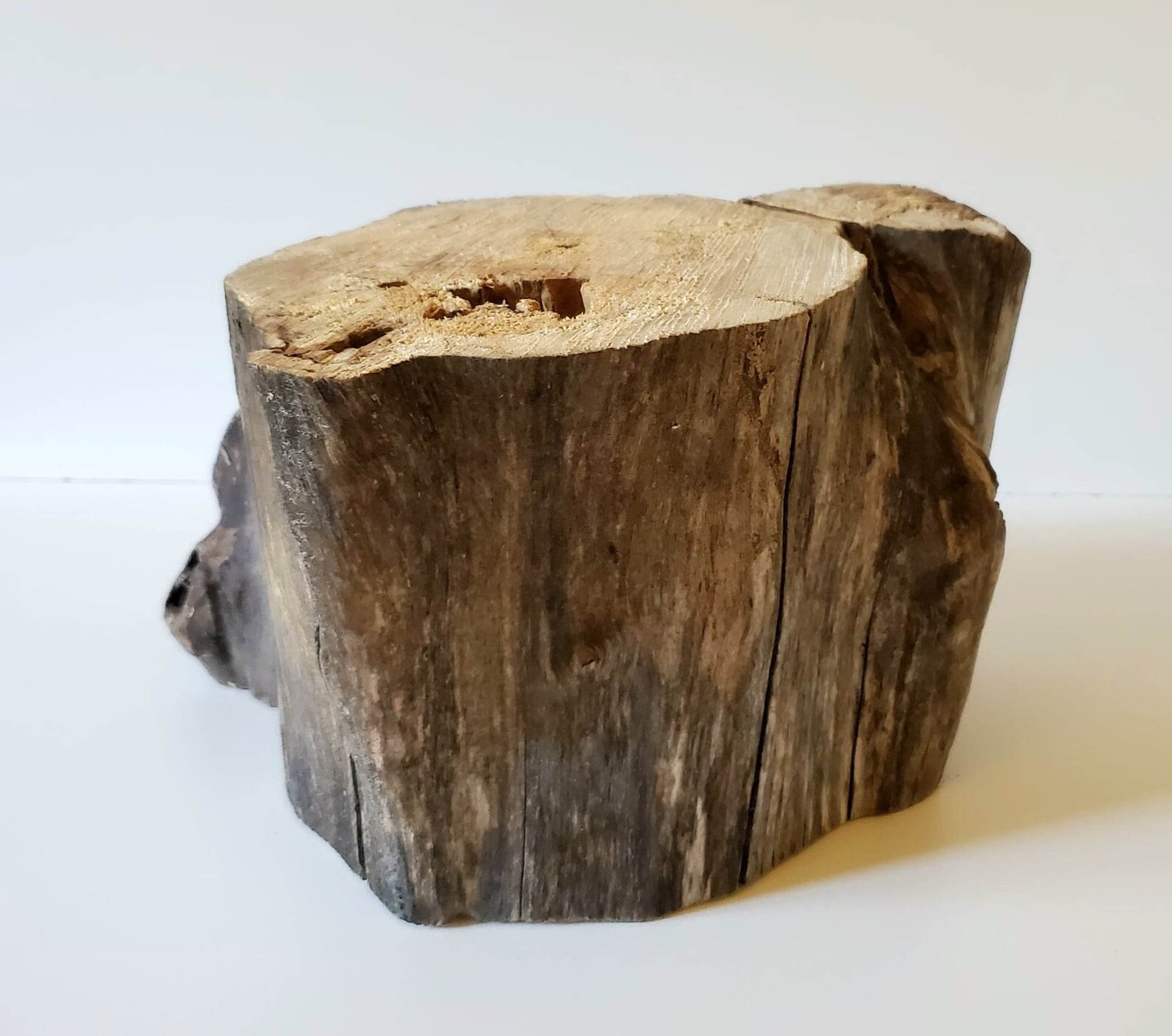 Wooden Log / 8 Inches Diameter / Maple Wood / Log / Decoration / Craft ...