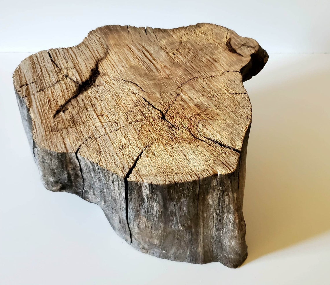 Wooden Log / 8 Inches Diameter / Maple Wood / Log / Decoration / Craft ...