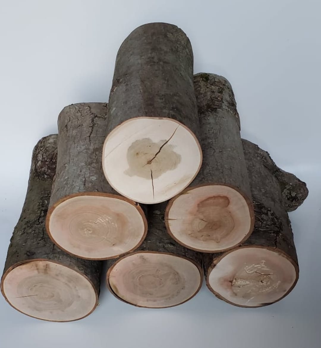 4 to 5 Inches in Diameter / Wood Log / Log / Live Edge / Craftsman