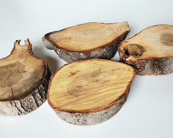 4 rustic wood slices / wood for crafts / 3.5 to 4 inches