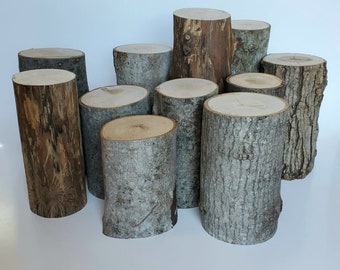 3 to 4 inches diameter / height 6 to 8 inches / Hardwood logs / Wood stump / Log / DIY / Live edge / Dry
