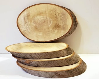 Oval slice / 8 inches / wood for crafts / Raw wood / Natural / wood slice