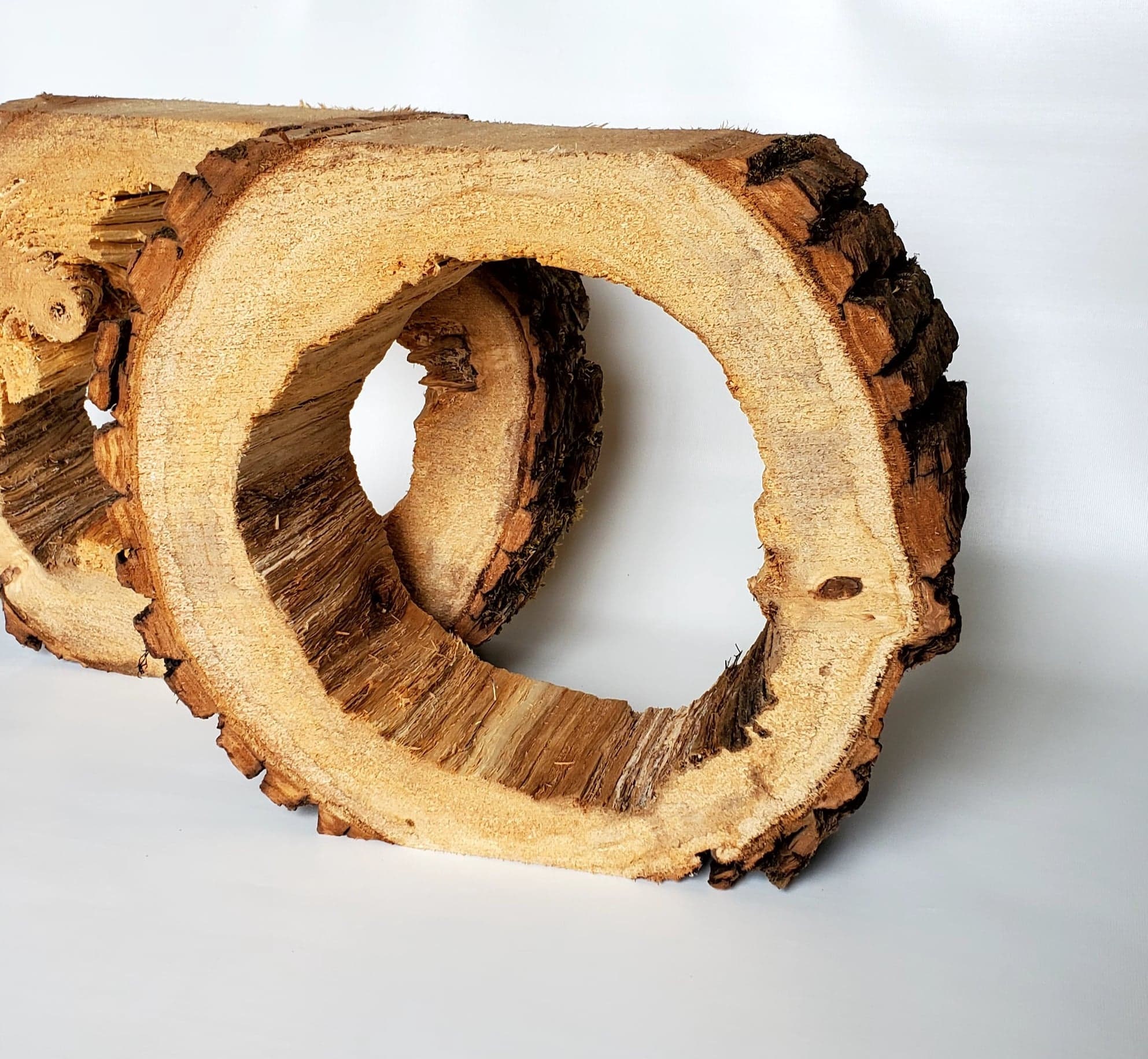 Slice of Hollowed-out Log / Thickness Between 4 and 4.5 Inches / Rustic ...