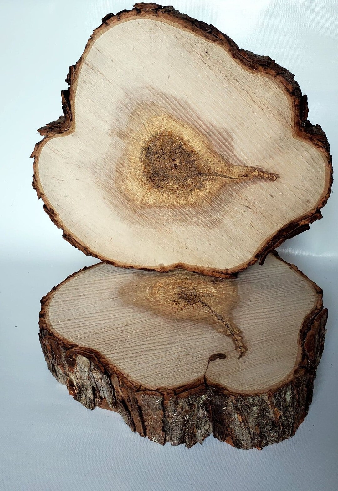 13-14 Inch Wood Slab / Maple Wood / Raw Tree Slice / Natural - Etsy